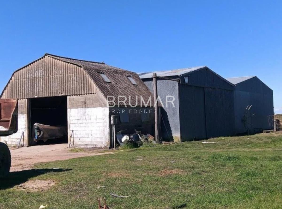 Venta campo Uruguay treinta y tres