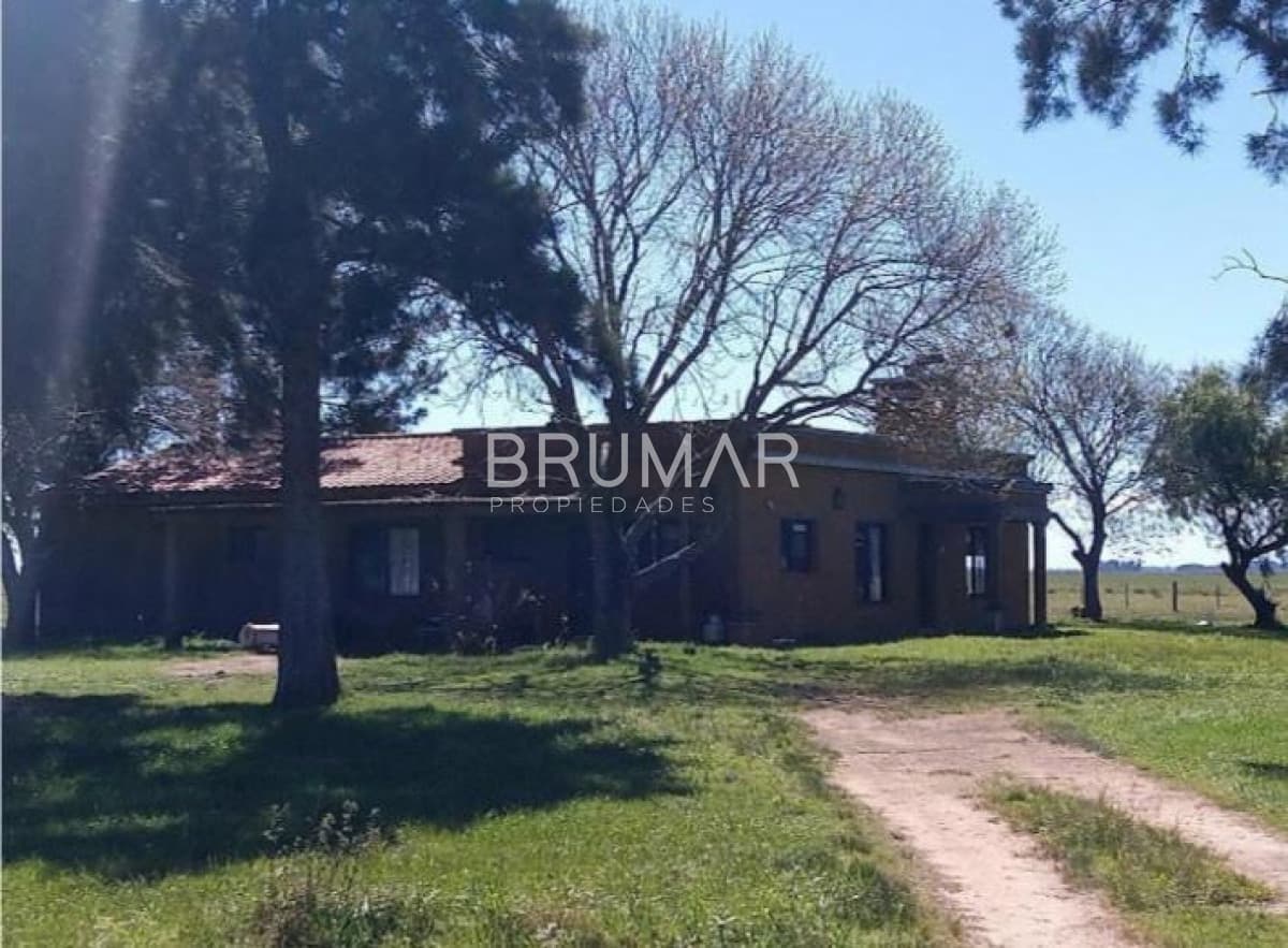 Venta campo Uruguay treinta y tres