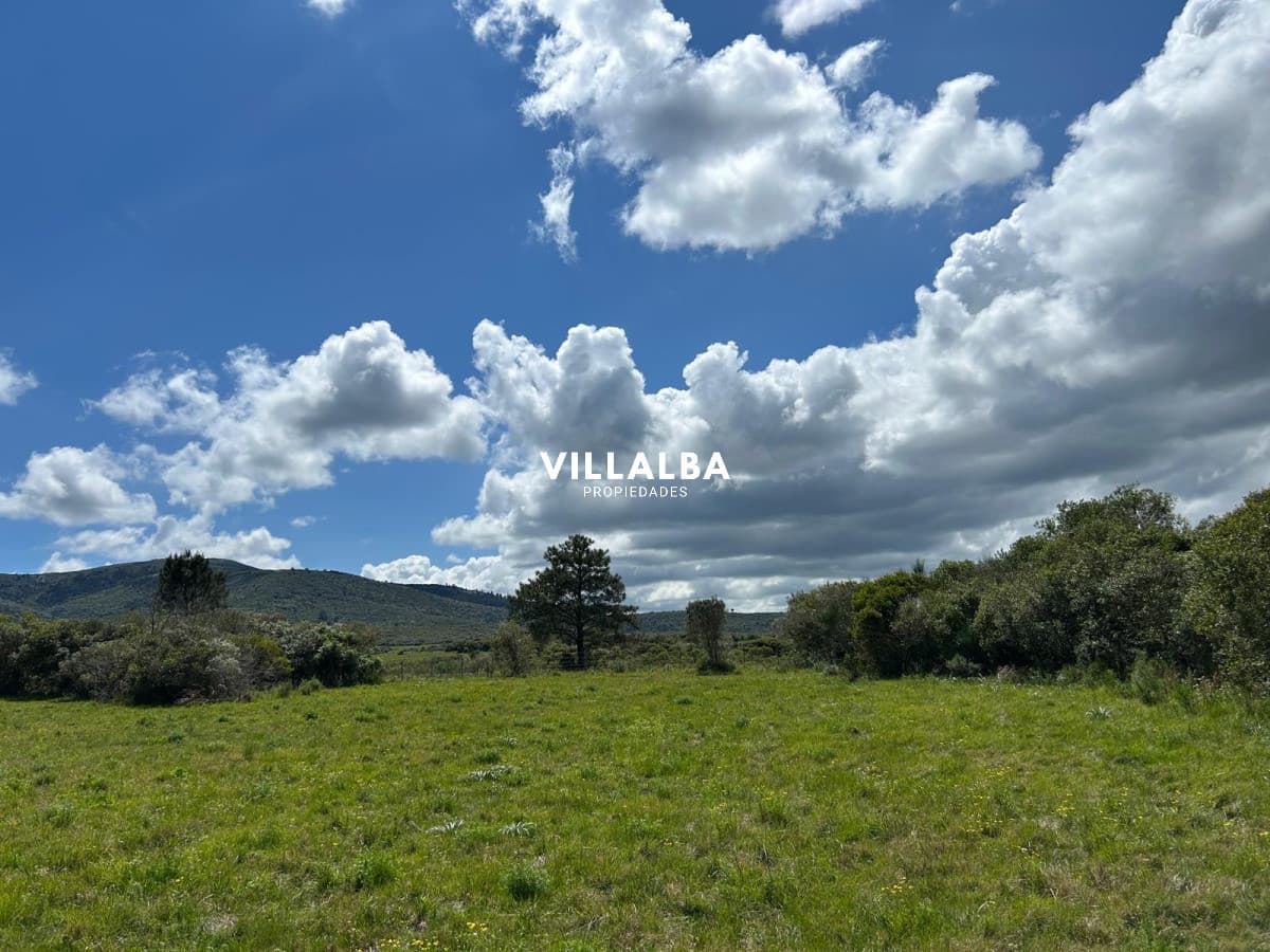 Venta de Chacras en Piriapolis Las Flores