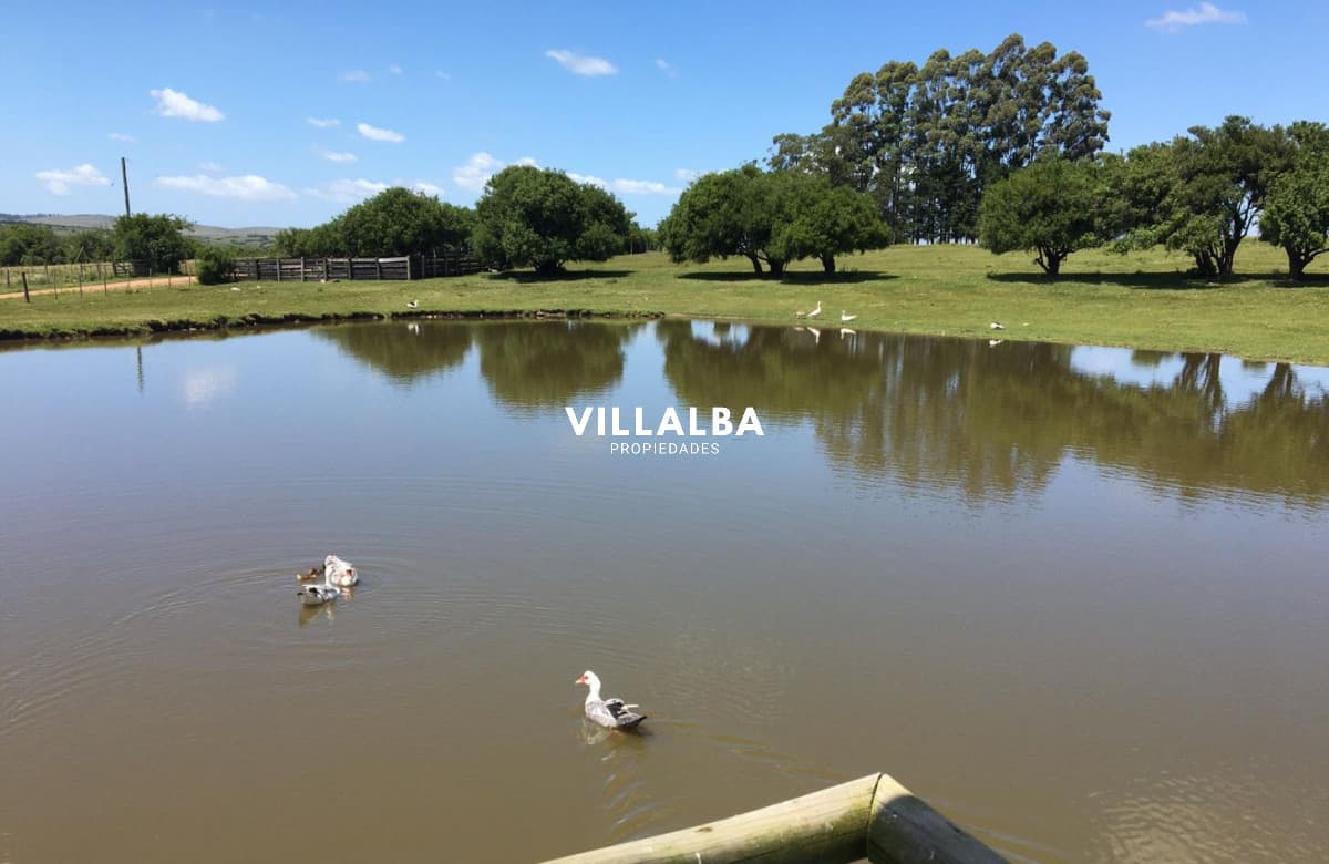 Vende chacra de 14.5 ha en Pueblo Edén