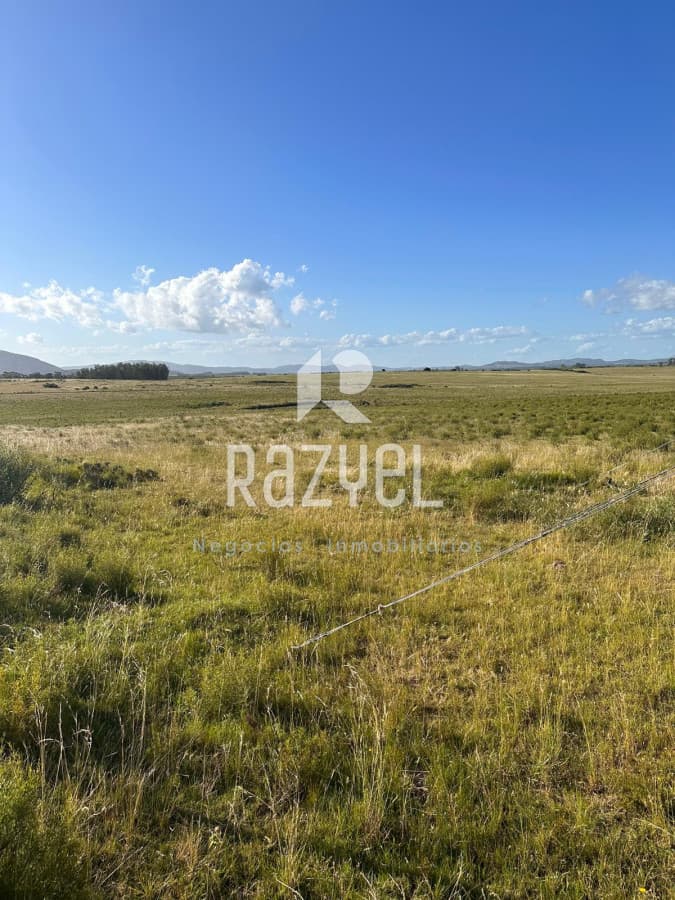 Chacra ID.499 - CHACRA DE 20 HECTAREAS