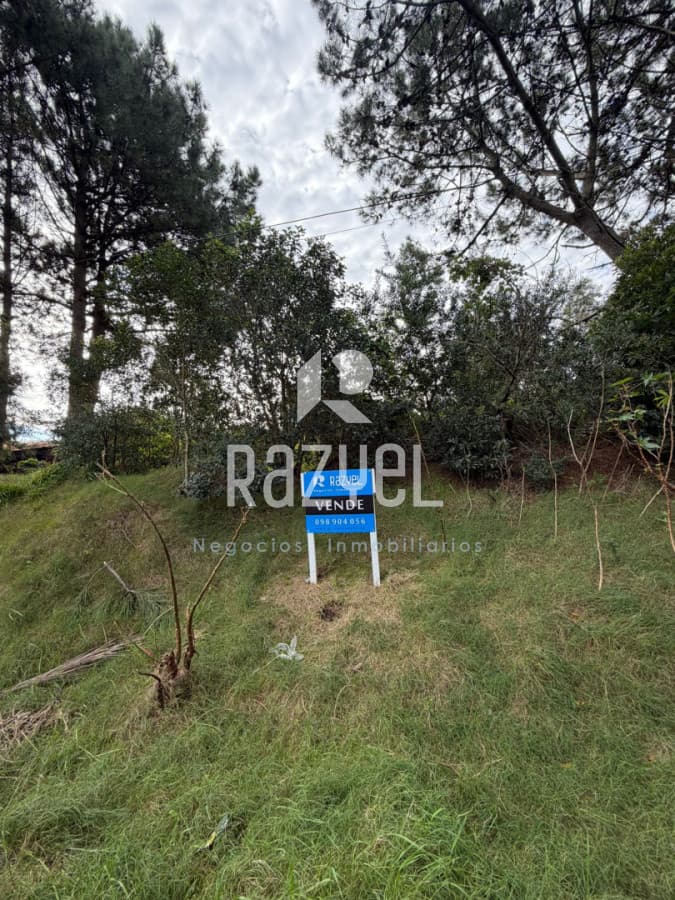 Oportunidad en Terreno en VENTA!  -
