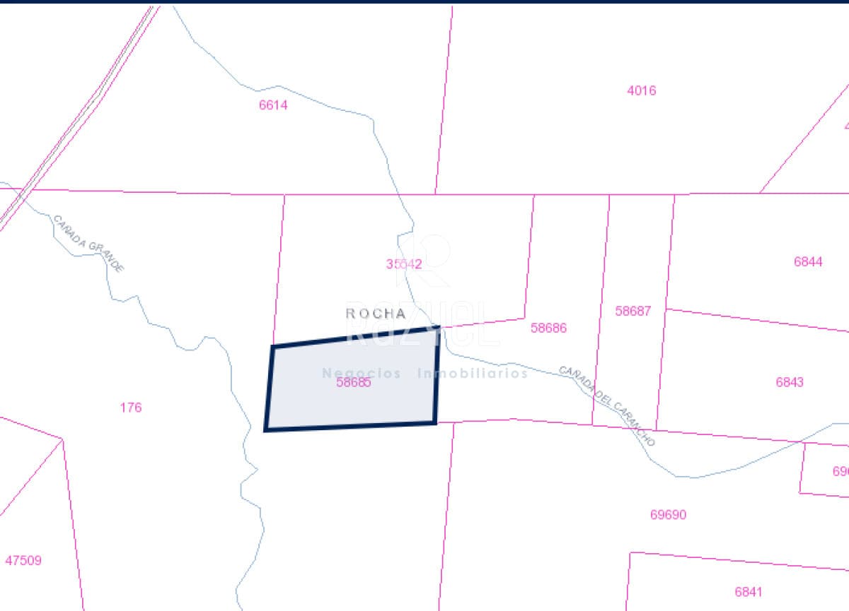 En venta 25 hectáreas entre Villa Velázquez y Lascano, Rocha.  -
