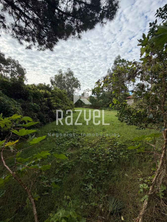 Oportunidad en Terreno en VENTA!  -