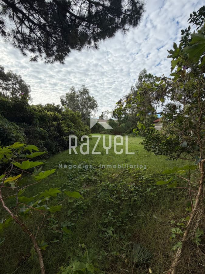 Oportunidad en Terreno en VENTA!  -
