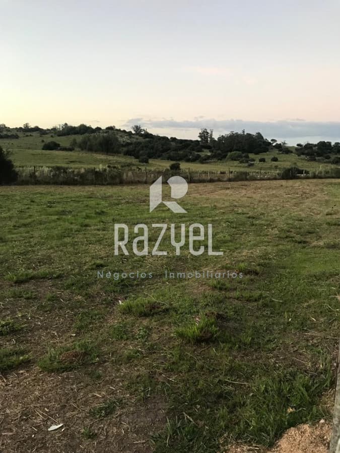 Terreno ID.419 - Hermoso terreno en venta