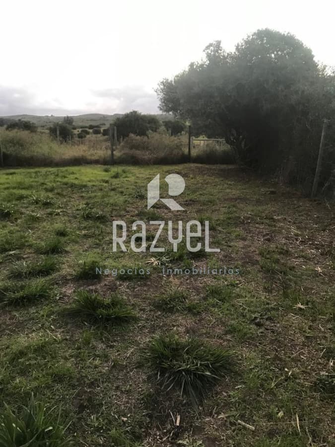 Terreno ID.419 - Hermoso terreno en venta