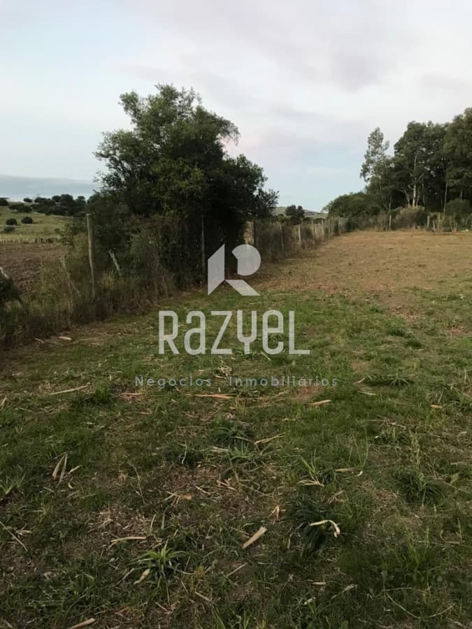 Terreno ID.419 - Hermoso terreno en venta