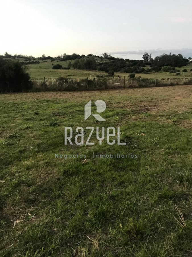 Terreno ID.419 - Hermoso terreno en venta