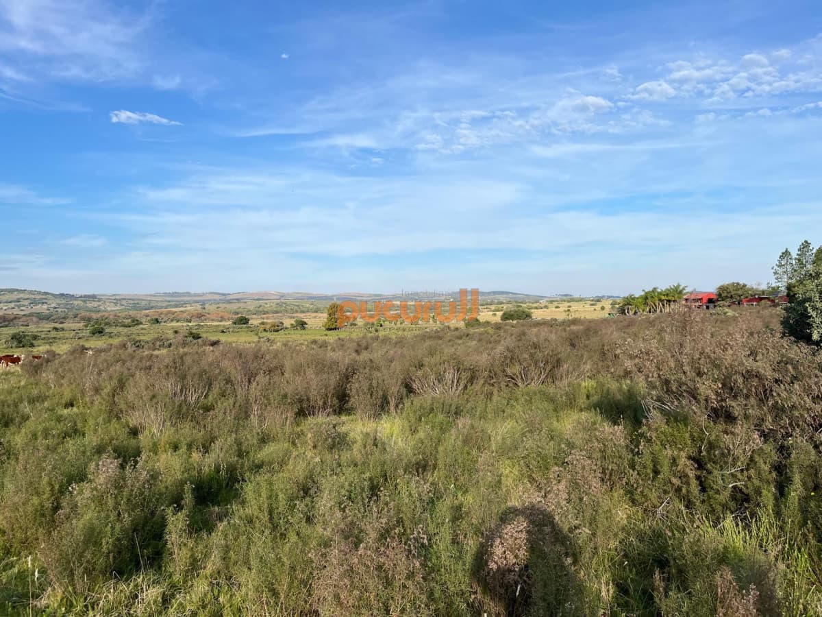 CHACRA PUEBLO EDEN