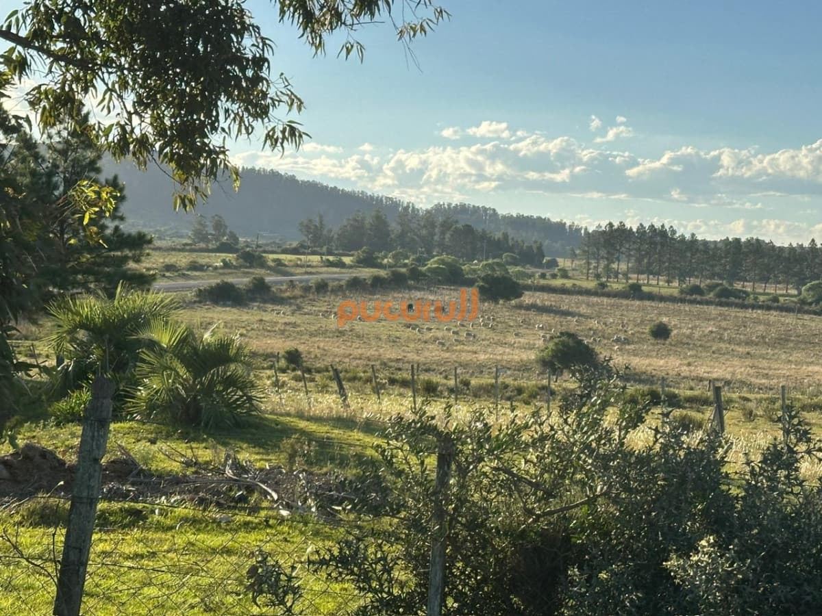 CHACRA PUEBLO EDEN