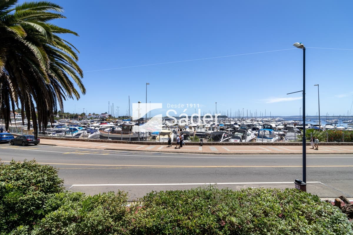 Apartamento en venta y alquiler Peninsula 3 dormitorios