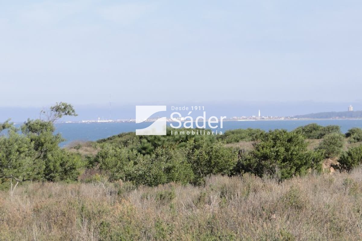 Chacra en venta La Pedrera