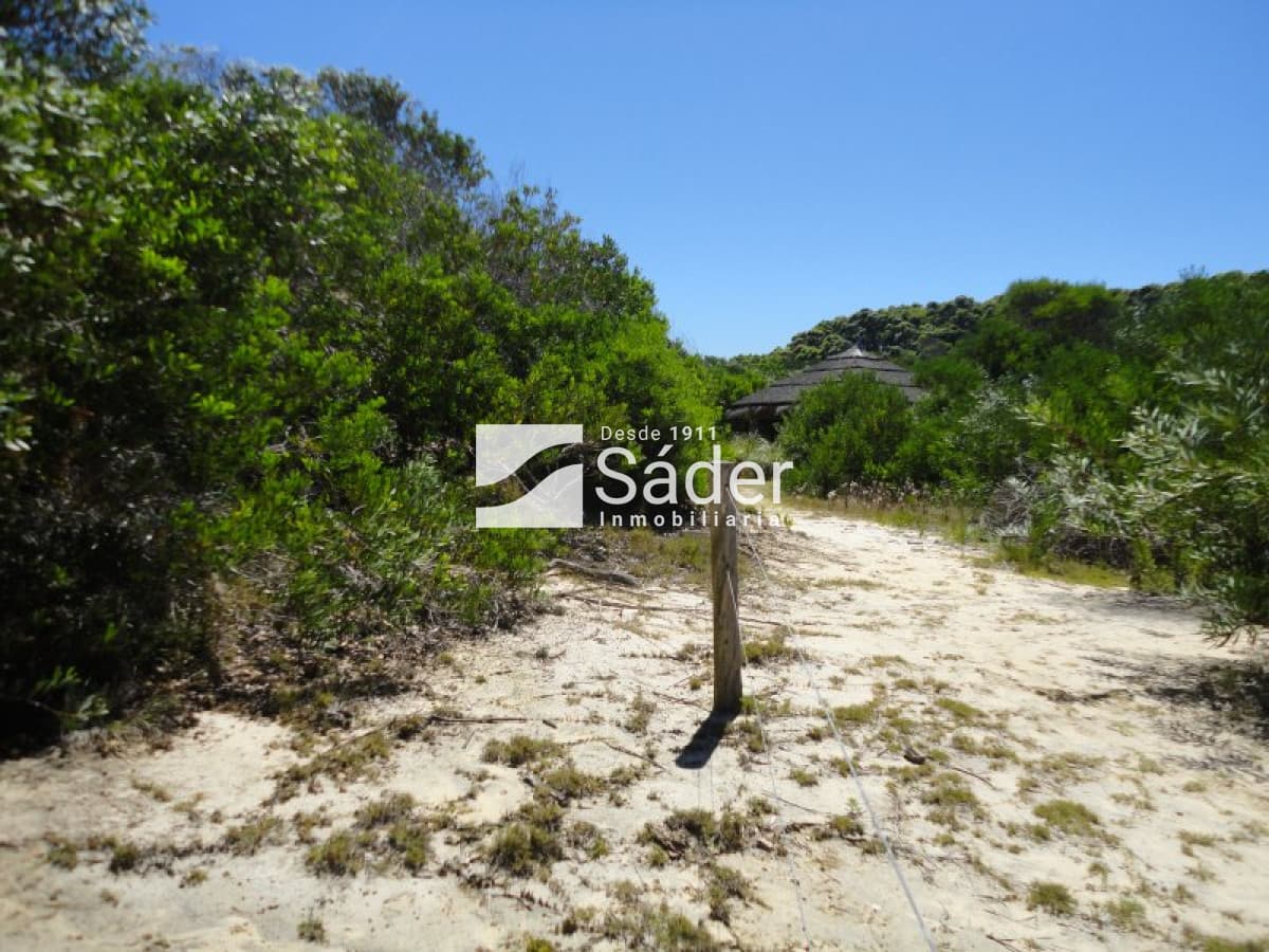 Chacra en venta La Pedrera