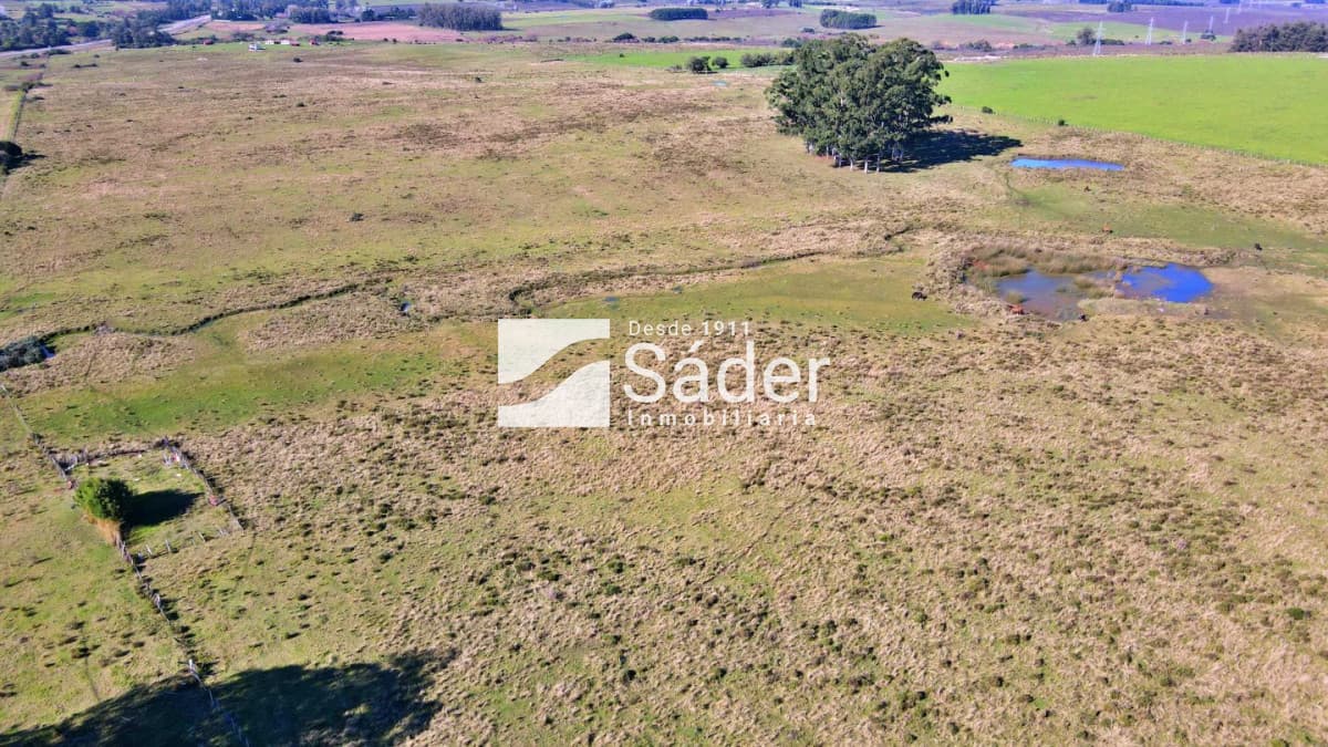 Chacra en venta Maldonado Sobre Ruta 9