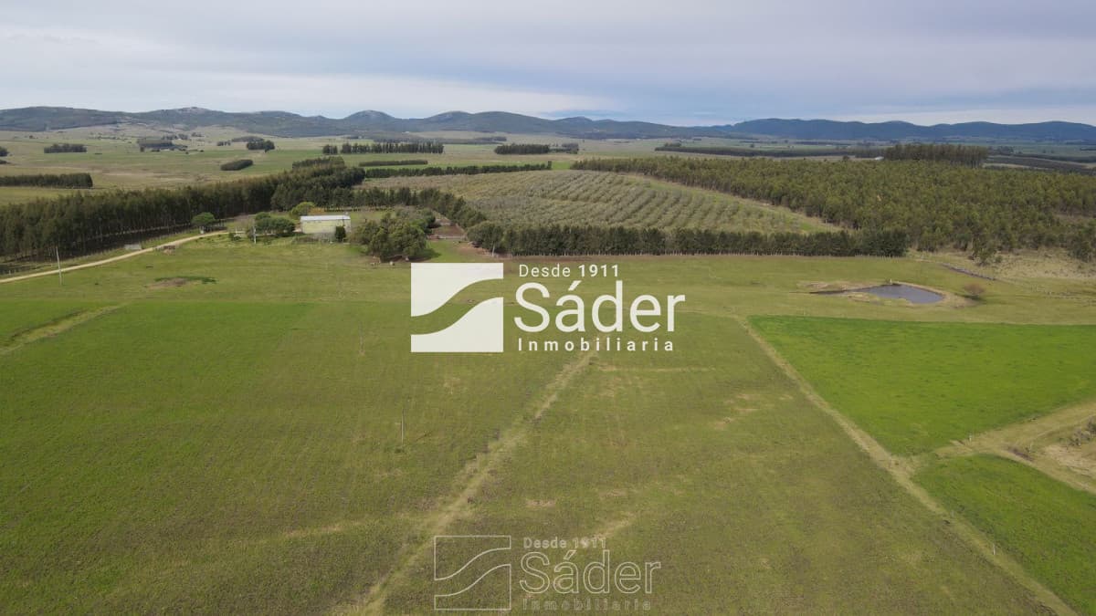 Venta de Campo en Lavalleja, Uruguay