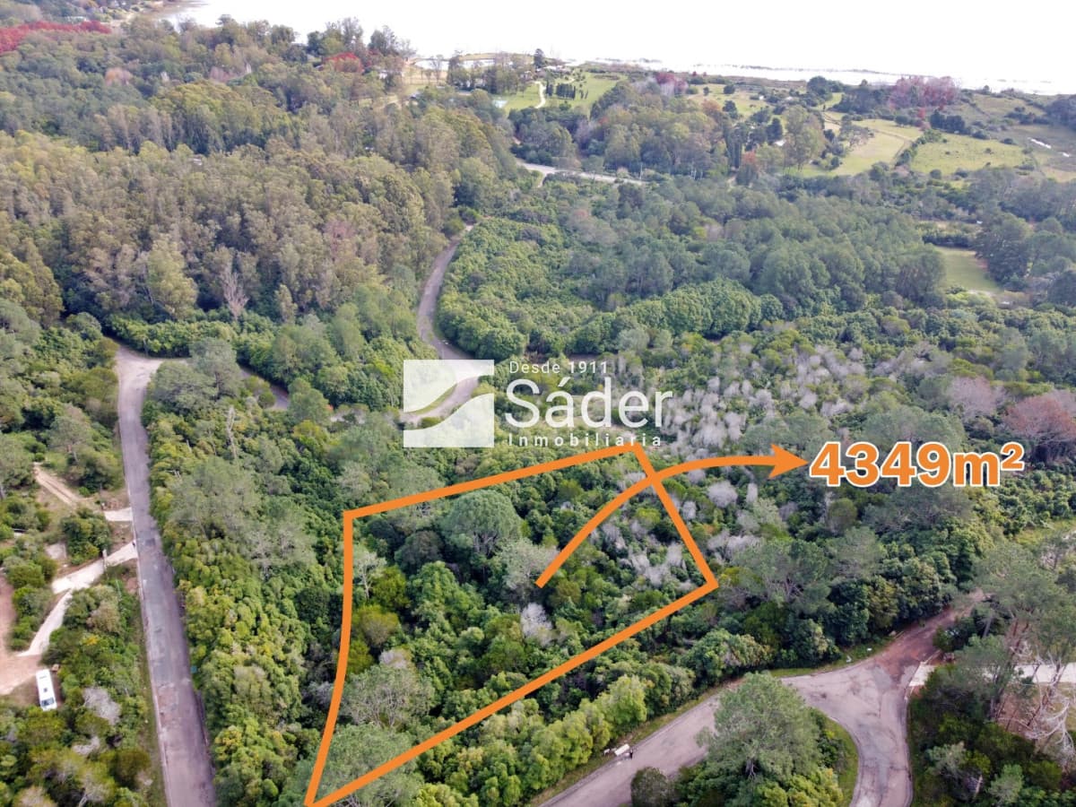 Terreno en Venta en Las Cumbres, Punta Ballena