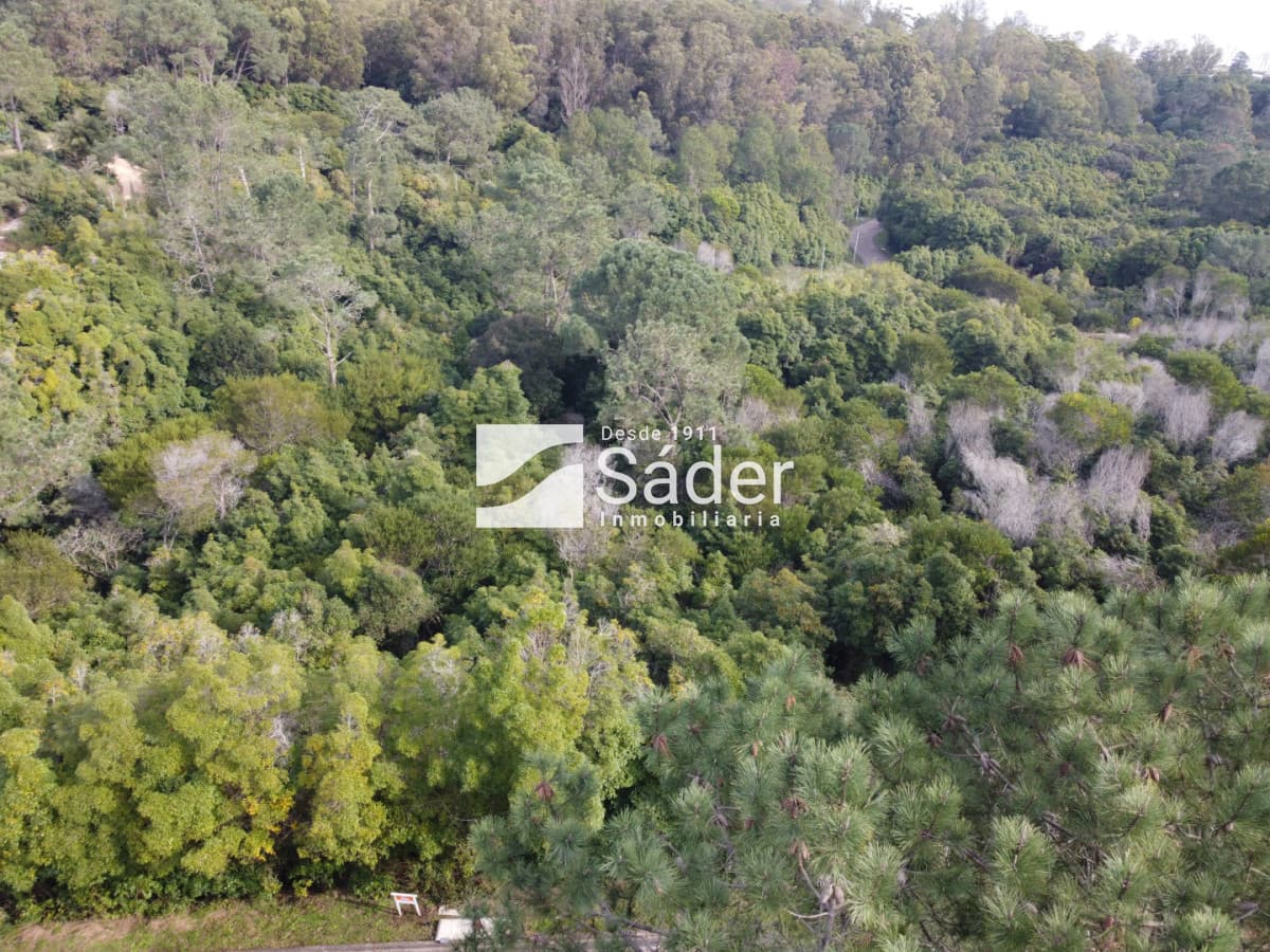 Terreno en Venta en Las Cumbres, Punta Ballena