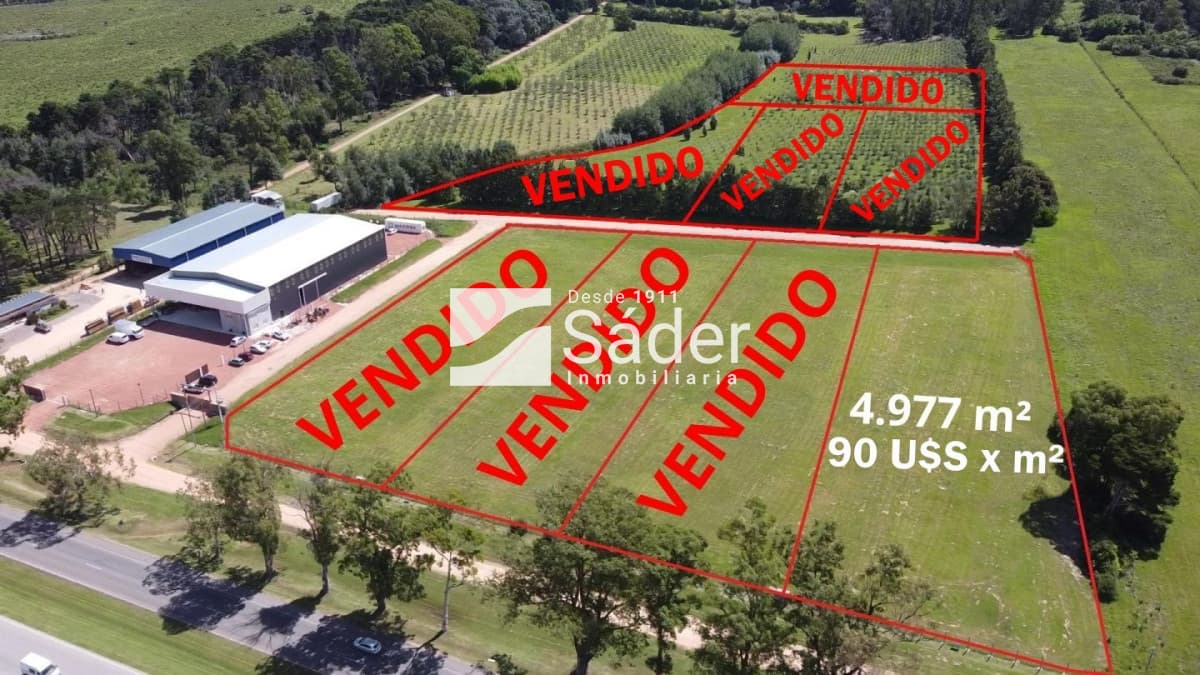 Terreno en venta San Carlos