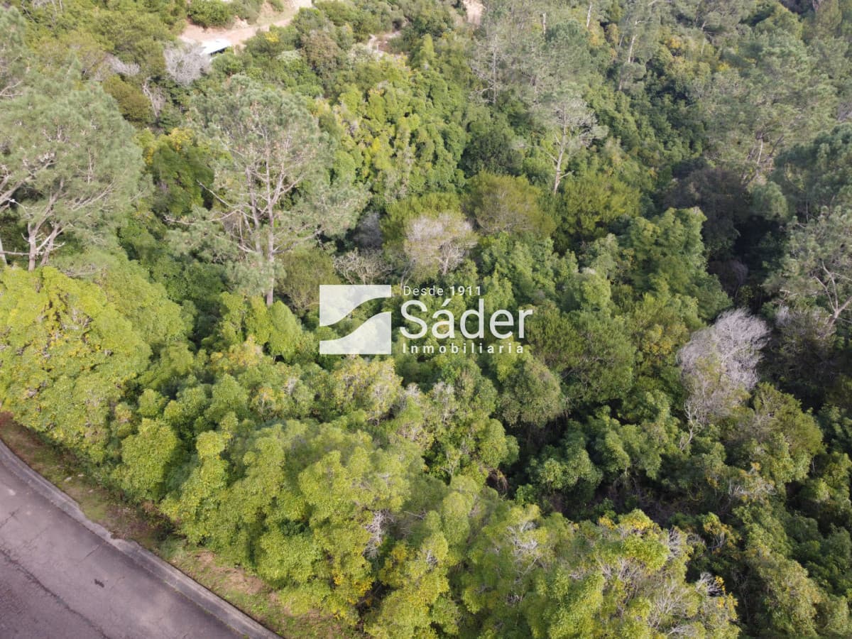 Terreno en Venta en Las Cumbres, Punta Ballena