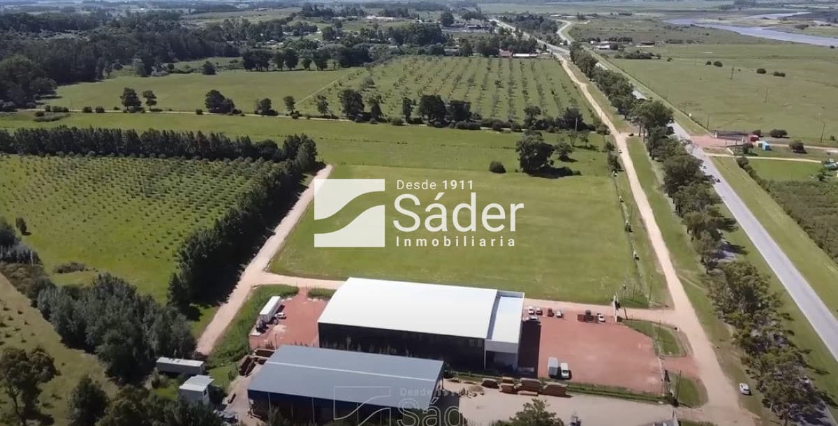 Terreno en venta San Carlos