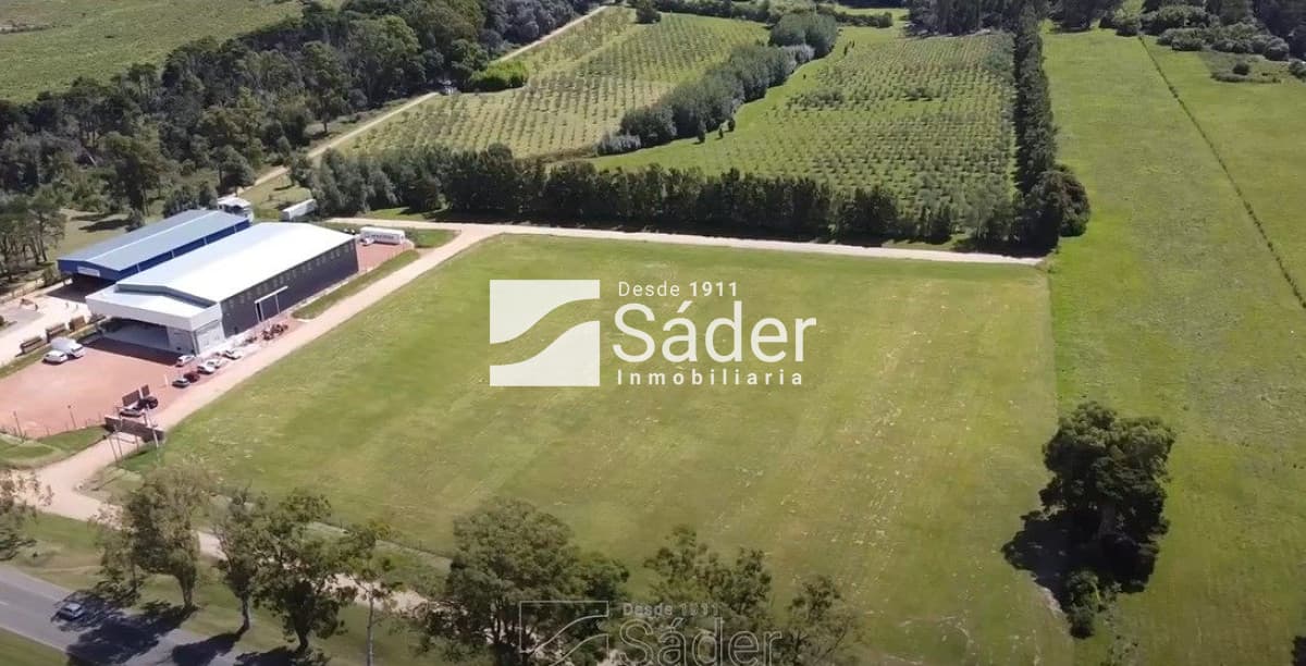 Terreno en venta San Carlos