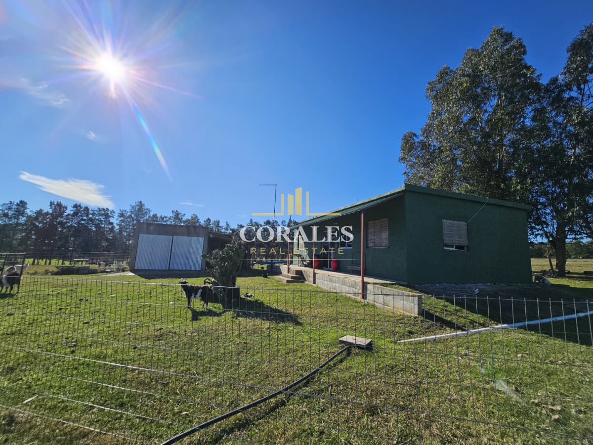 CHACRA EN VENTA SOBRE RUTA 39