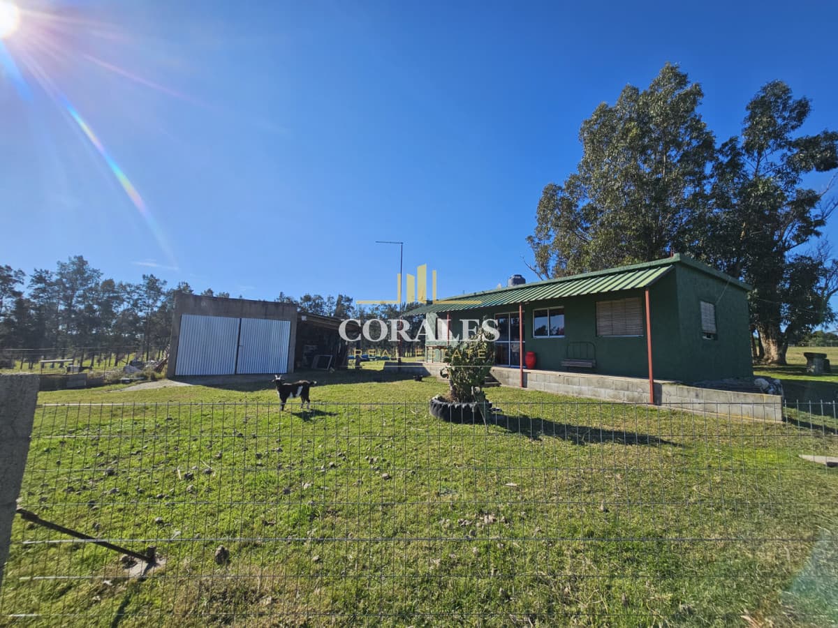 CHACRA EN VENTA SOBRE RUTA 39