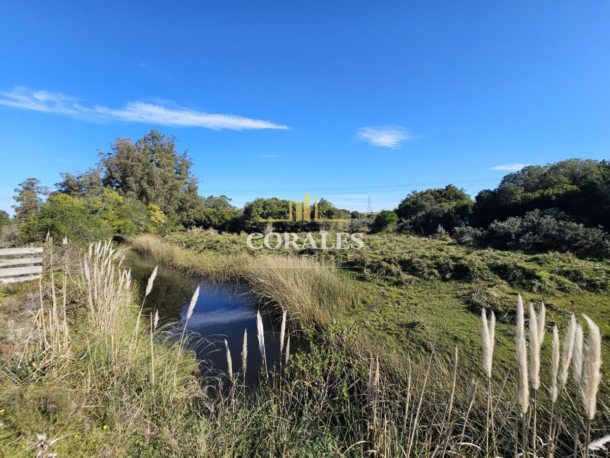 CHACRA EN VENTA SOBRE RUTA 39