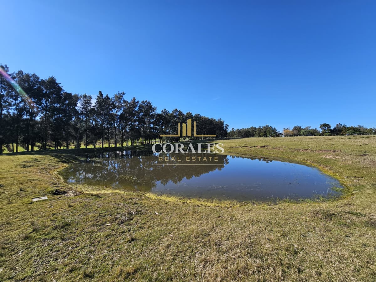 CHACRA EN VENTA SOBRE RUTA 39