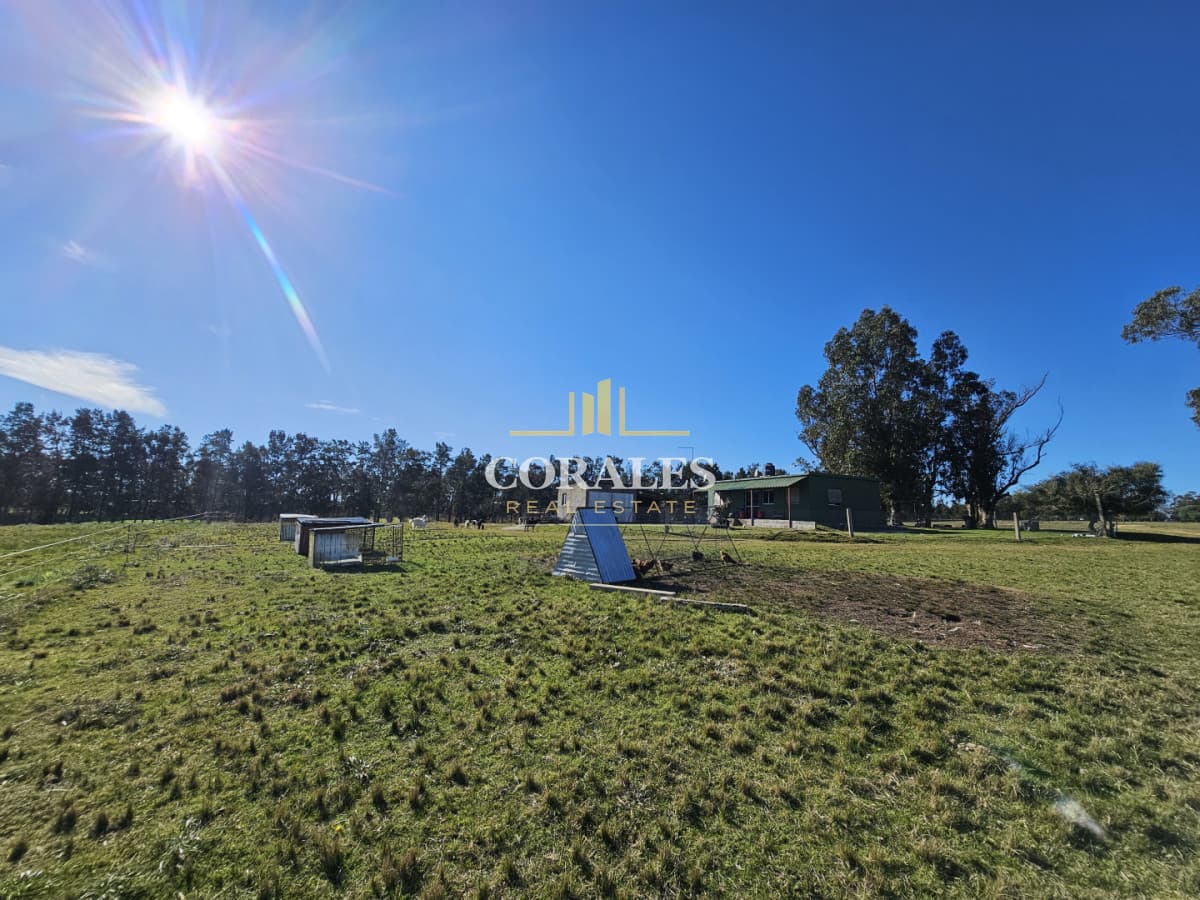 CHACRA EN VENTA SOBRE RUTA 39