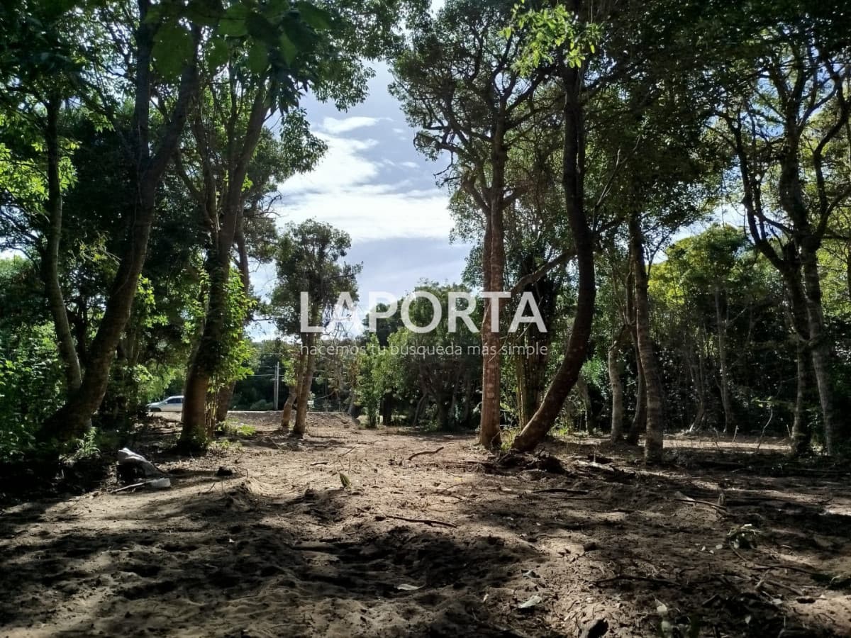 Terreno en Venta en Punta Ballena a 400 Metros del Mar