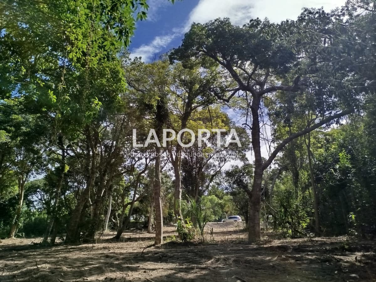 Terreno en Venta en Punta Ballena a 400 Metros del Mar