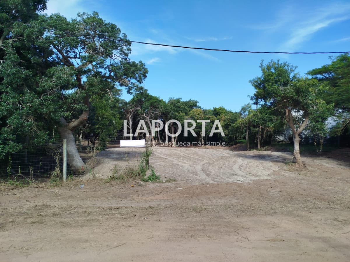 Terreno en Venta en Punta Ballena a 400 Metros del Mar