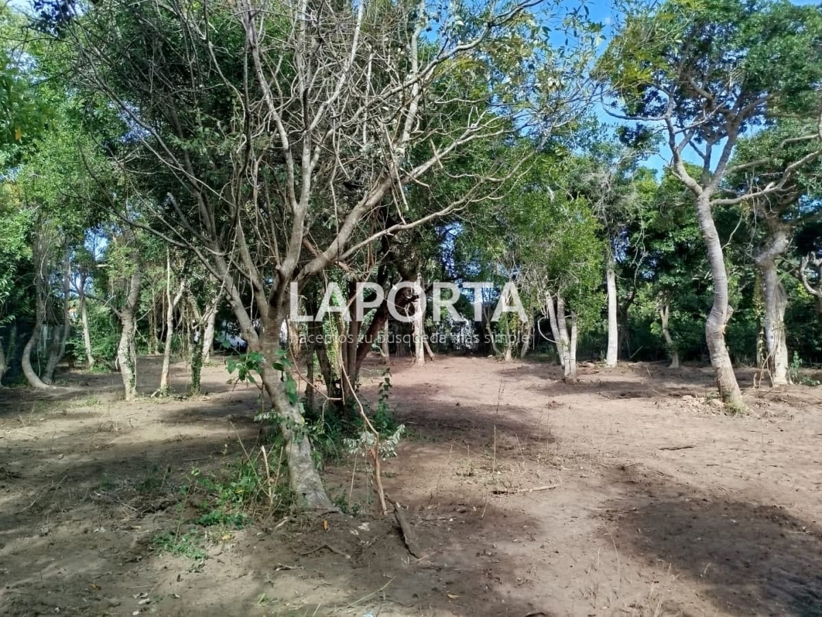Terreno en Venta en Punta Ballena a 400 Metros del Mar