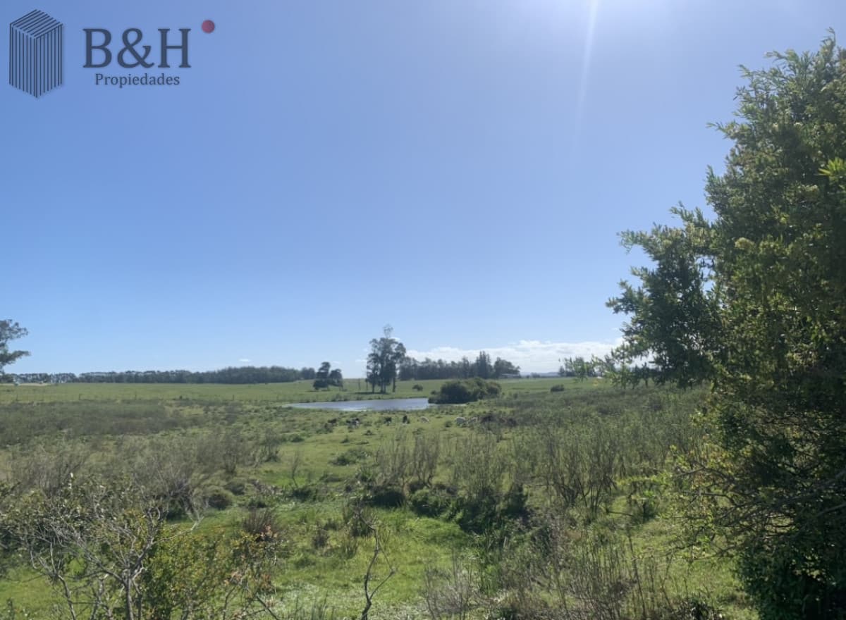 Campo en Venta en Inmejorable zona RUTA 104 MANANTIALES