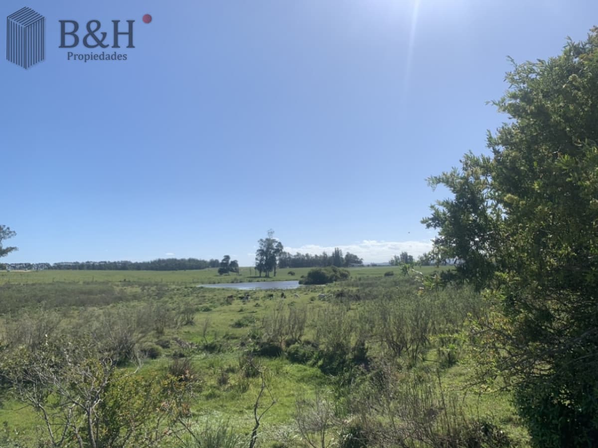 Campo en Venta en Inmejorable zona RUTA 104 MANANTIALES