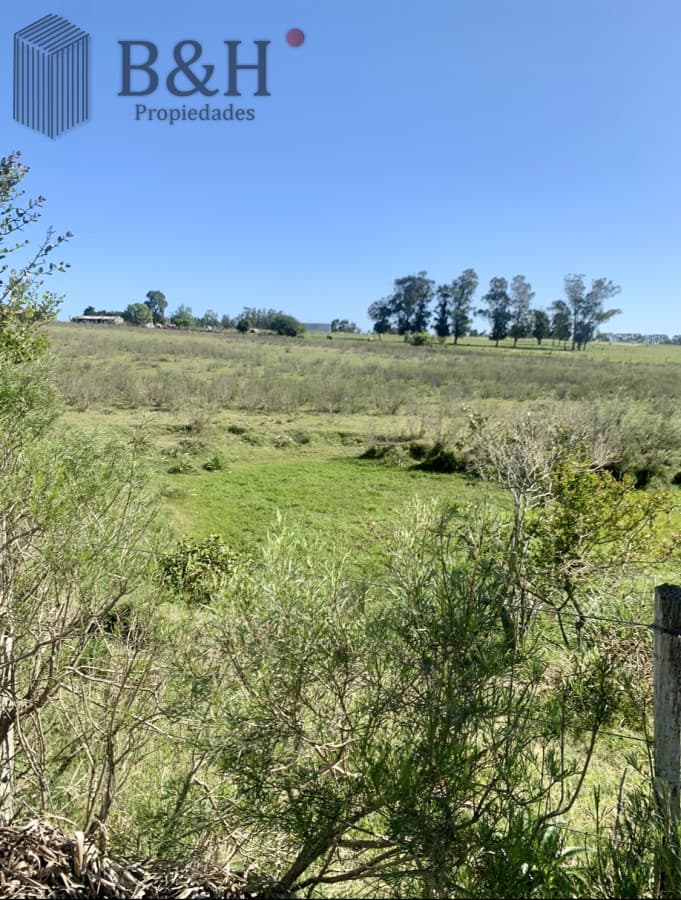 Campo en Venta en Inmejorable zona RUTA 104 MANANTIALES