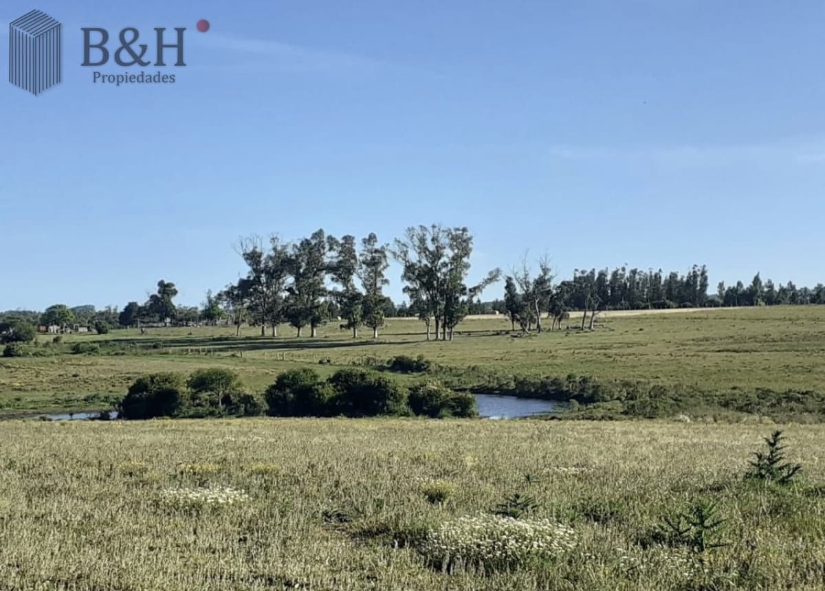 Campo en Venta en Inmejorable zona RUTA 104 MANANTIALES