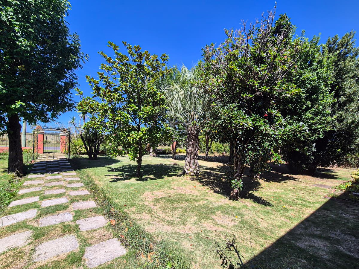 Venta Chacra 4 Dormitorios con Piscina Paso Cantera San Carlos