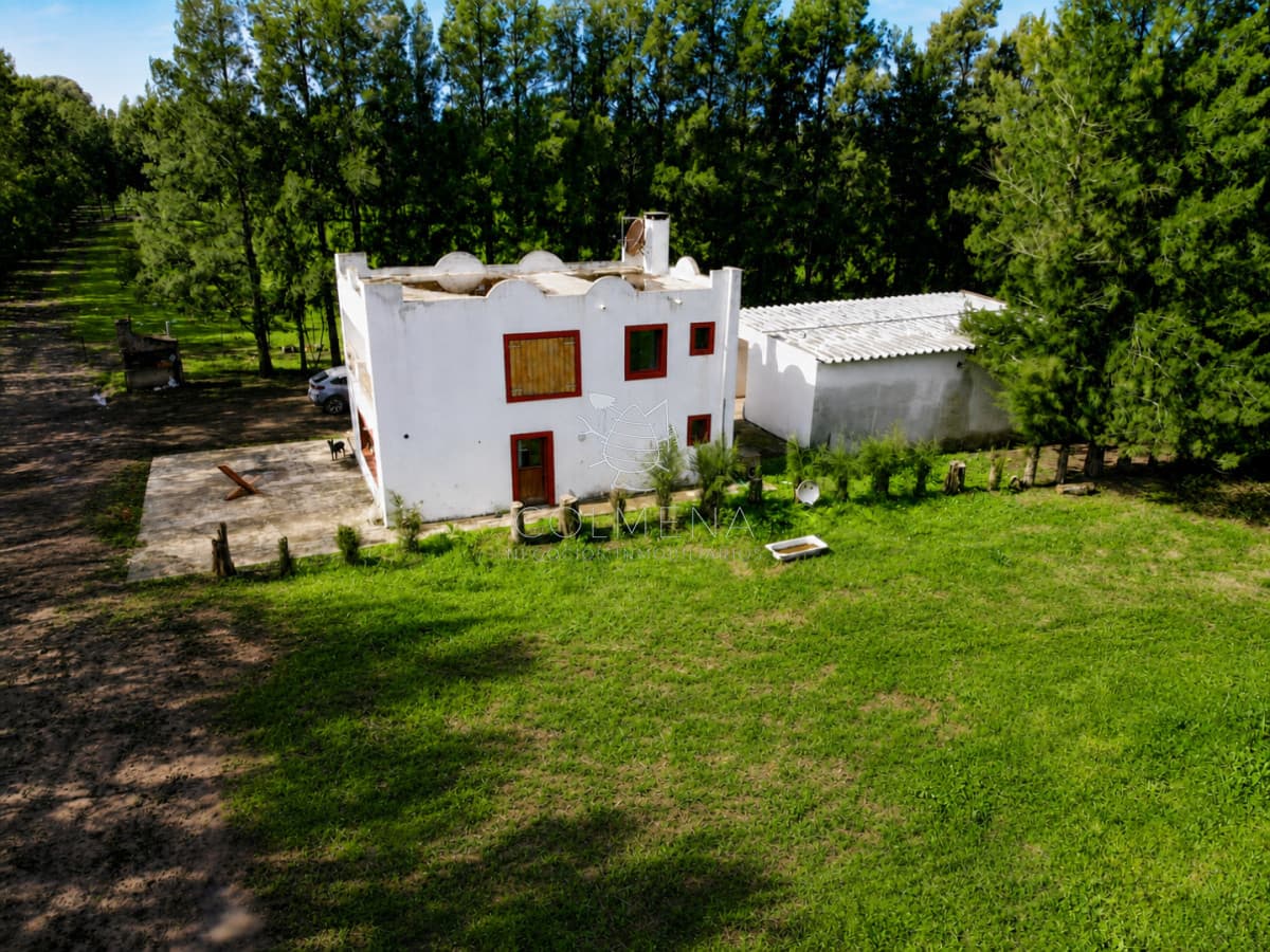 Venta Campo 19 Ha sobre Ruta 39  San Carlos Maldonado