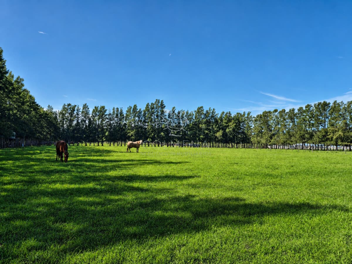 Venta Campo 19 Ha sobre Ruta 39  San Carlos Maldonado