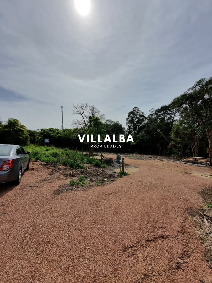 Terreno en Punta Ballena