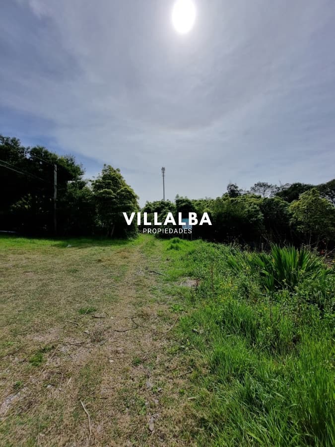 Terreno en Punta Ballena