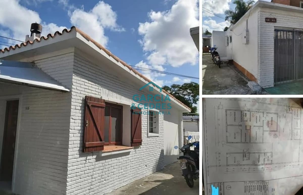 Casa Principal + Apto al fondo, otro al costado y Local Comercial