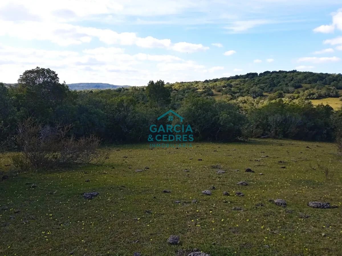 Venta de Chacra Con Arroyo, Monte Nativo, Pastoreo, Vistas 360 En Altura, Sierras De Aigua