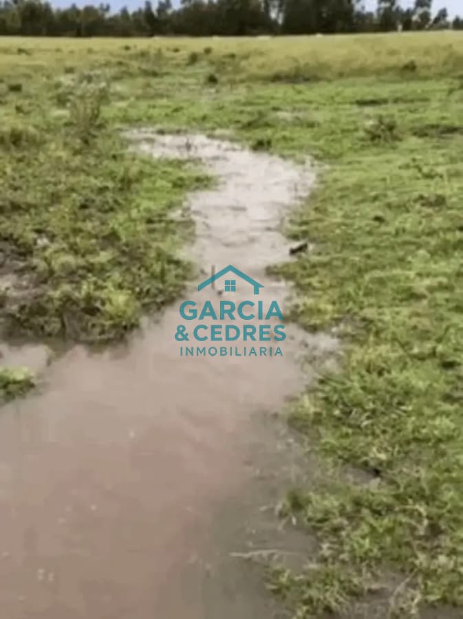 Chacra 7 Has, San Jacinto, Canelones.