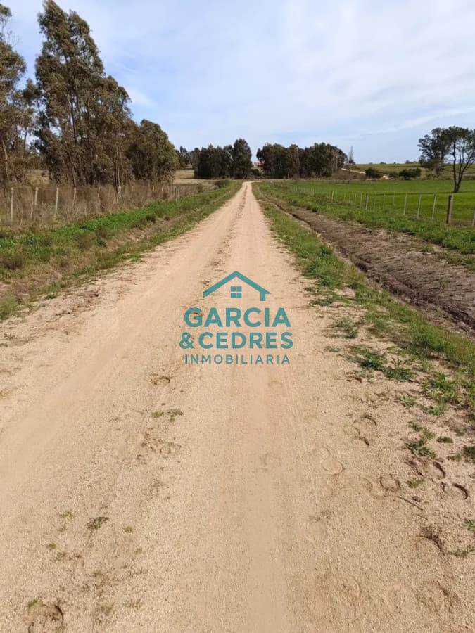 Chacra 7 Has, San Jacinto, Canelones.
