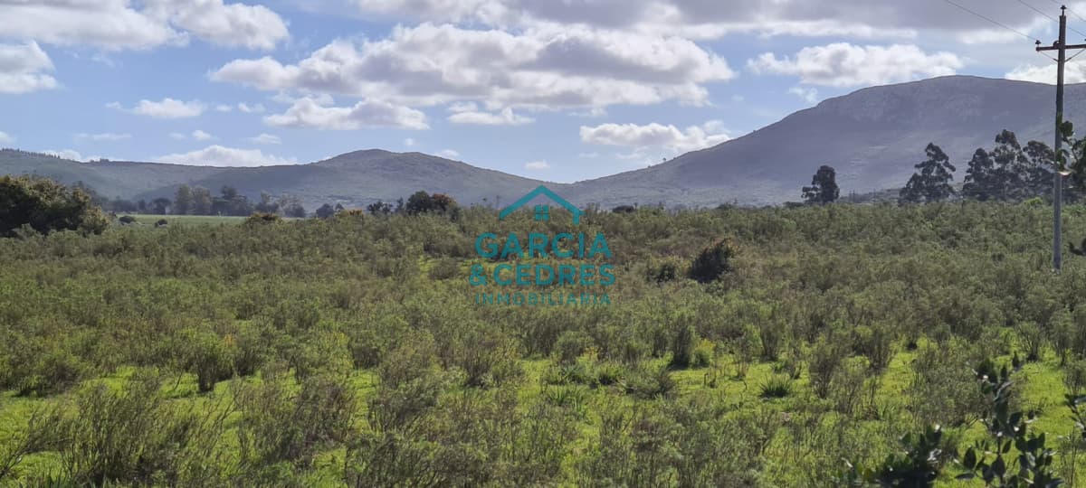 Excelente Oportunidad Venta de Chacras de 5 has en camino a la Nativa desde U$S 74.000