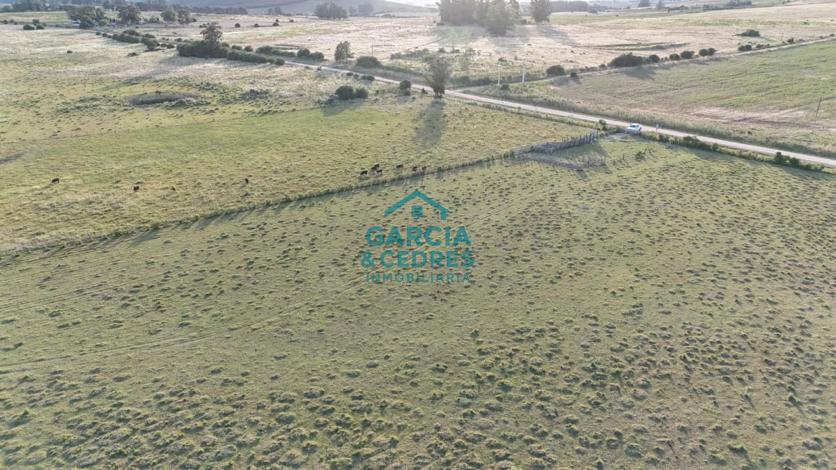 OPORTUNIDAD VENTA DE CHACRA 18 HAS 795 M2 ZONA ZANJA DE CHAVEZ